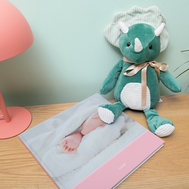 Memory box - Caja de recuerdos bebé little dutch Regalo embarazo