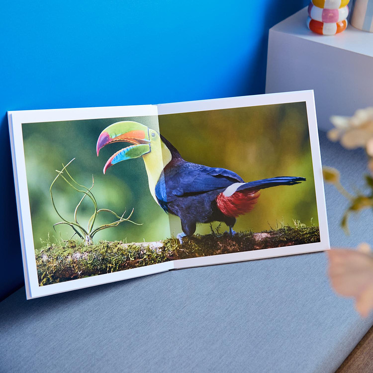 Album Grande Quadrato - Apertura Ultrapiatta e confezione regalo Cheerz 6