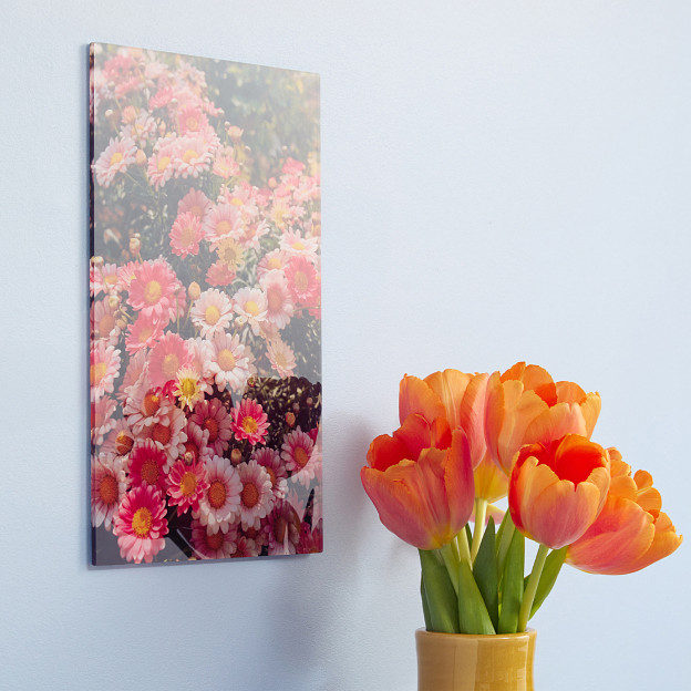 Tableau Photo sous Plexi