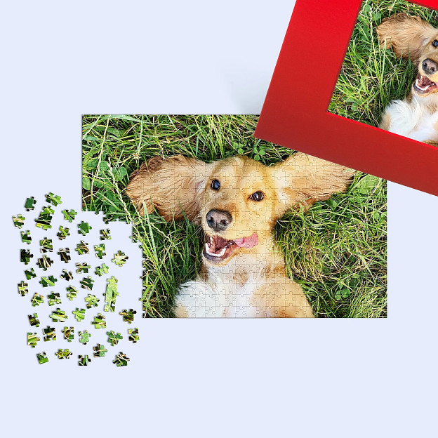 Puzzle Personnalisé x Ravensburger